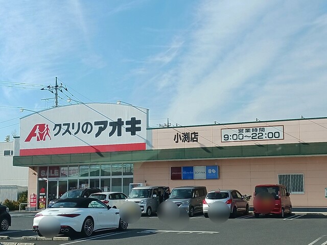 ドラックストア　クスリのアオキ小渕店（ドラッグストア）まで1000m