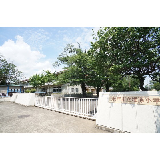 小学校　水戸市立堀原小学校（小学校）まで822m