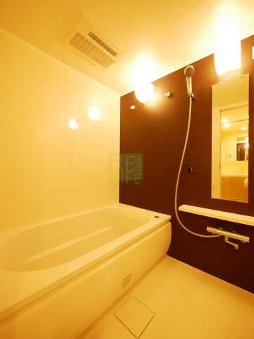 バス・シャワールーム　パークアクシス駒込HILLTOPの風呂