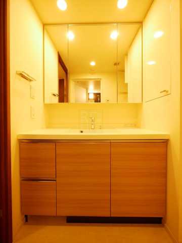 洗面設備　パークアクシス駒込HILLTOPの洗面所