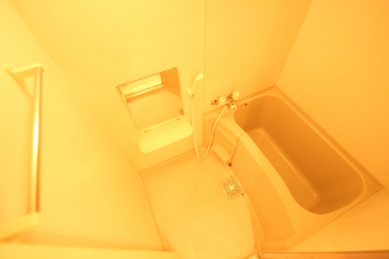 バス・シャワールーム　※別部屋の写真です