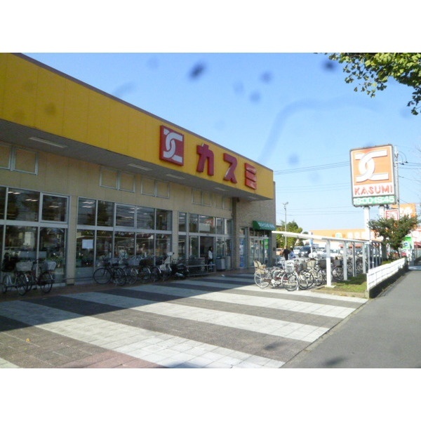 スーパー　カスミフードスクエア越谷ツインシティ店（スーパー）まで966m