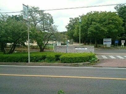 公園　小幡緑地公園（公園）まで1100m