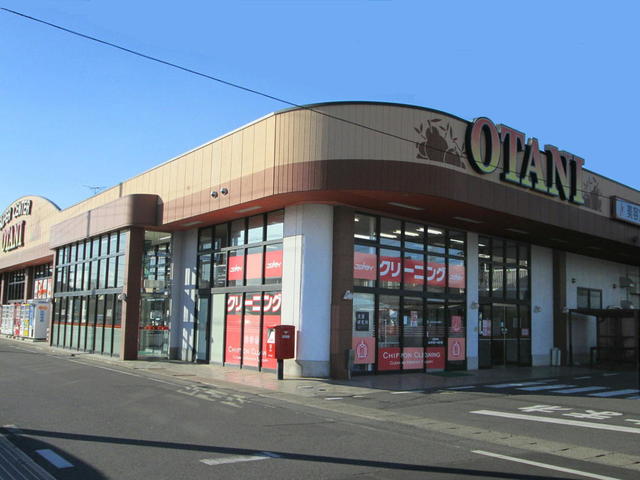スーパー　スーパーオータニ自治医大店（スーパー）まで647m