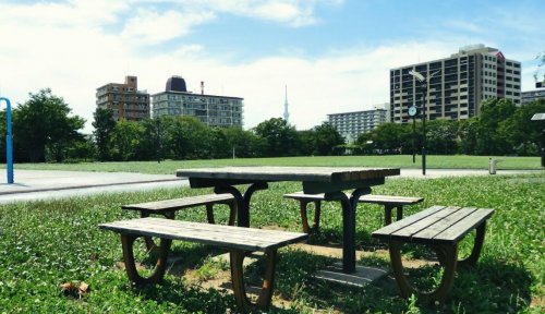 公園　大島小松川公園 わんさか広場（公園）まで883m