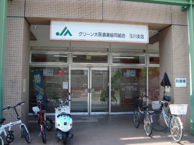 その他　ＪＡグリーン大阪玉川支店（その他）まで1148m