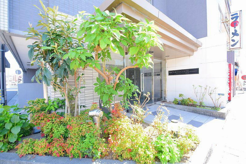 エントランス　エントランス