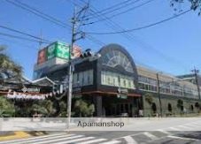 スーパー　サミット（株）／石神井台店（スーパー）まで677m