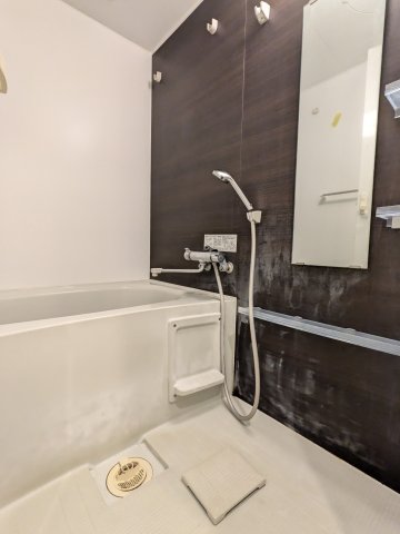 バス・シャワールーム　落ち着いた空間のお風呂です