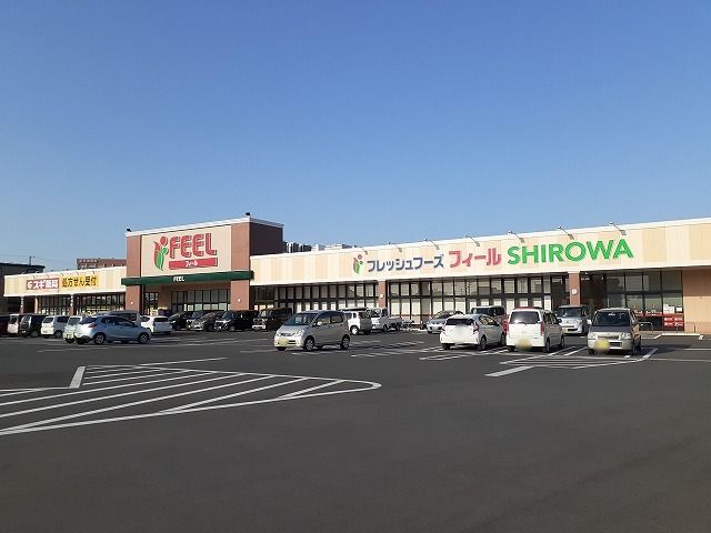 スーパー　フィール　SHIROWA店（スーパー）まで500m