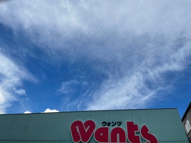 ドラックストア　ウォンツ十日市店（ドラッグストア）まで695m