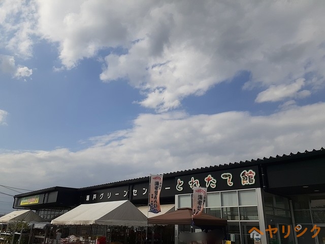 その他　ＪＡ（その他）まで250m