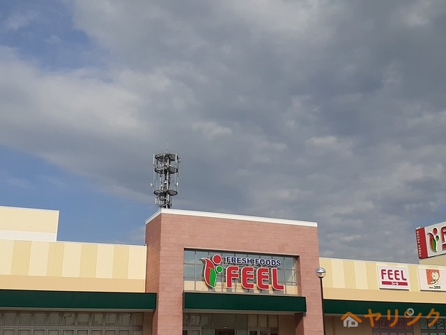 スーパー　フィール（スーパー）まで1500m