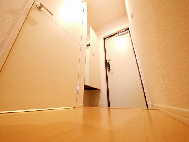 玄関　落ち着いた玄関です