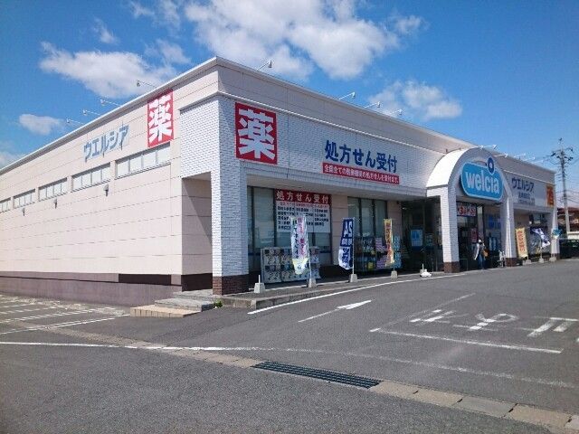 ドラックストア　ウエルシア高崎棟高店（ドラッグストア）まで800m