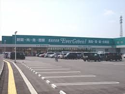 スーパー　スーパーエバグリーン 福島店（スーパー）まで1023m