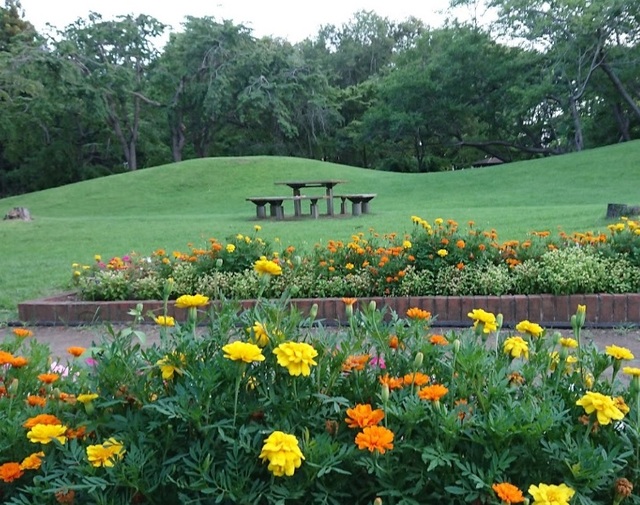 公園　赤塚公園（公園）まで450m