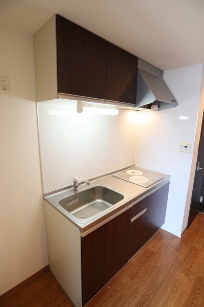 キッチン　※別号室の写真です