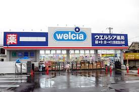 ドラックストア　ウエルシア国立富士見台店（ドラッグストア）まで649m