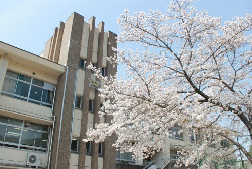 警察署・交番　奈良県警察本部（警察署・交番）まで1885m