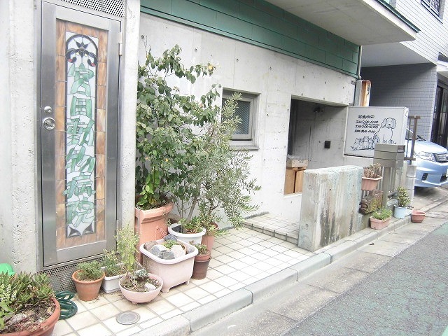 病院　宮田動物病院（病院）まで966m