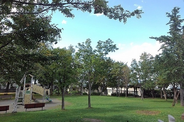 公園　しらかば公園（公園）まで250m