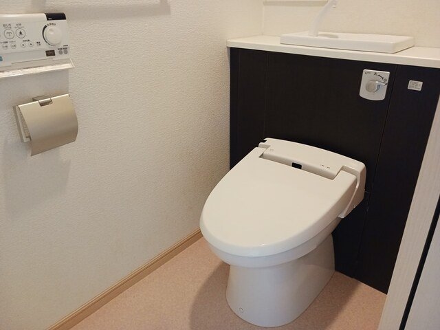 トイレ　トイレも気になるポイント