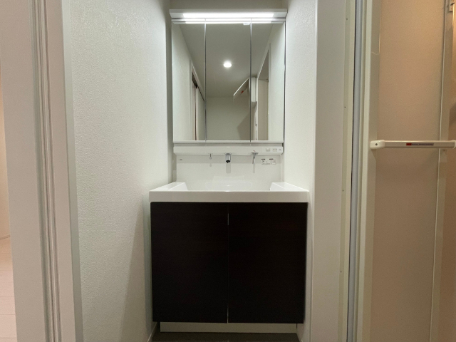 洗面設備　忙しい朝に嬉しいシャワー付き洗面化粧台です