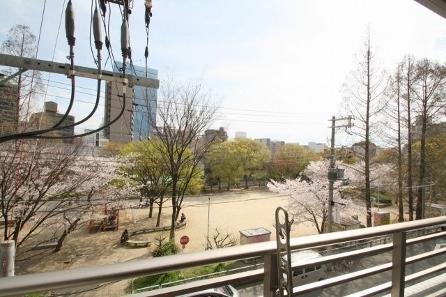 眺望　目の前が公園