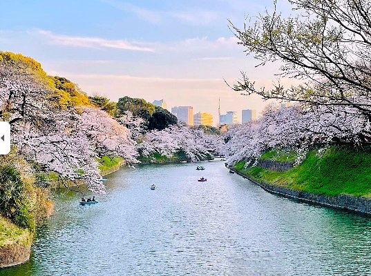 公園　千鳥ヶ淵公園（公園）まで547m