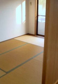 眺望　※現況優先