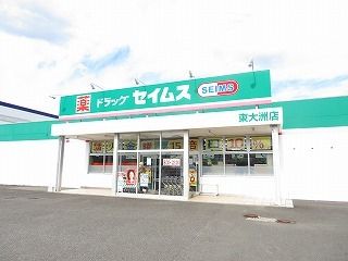 ドラックストア　セイムス東大洲店様（ドラッグストア）まで2900m