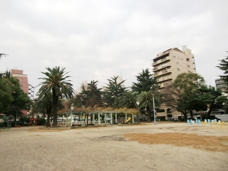 公園　南大江公園（公園）まで565m