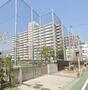 小学校　台場小学校（小学校）まで1368m