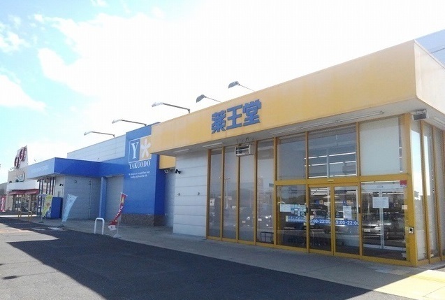 ドラックストア　薬王堂おいらせモール店（ドラッグストア）まで1100m