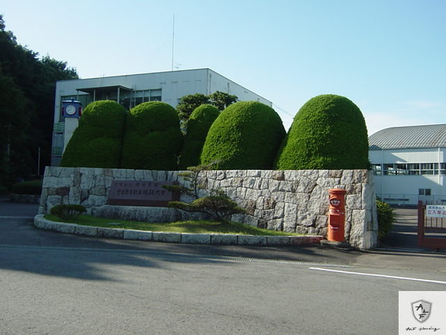 大学・短大　私立中日本自動車短期大学（大学・短大）まで454m