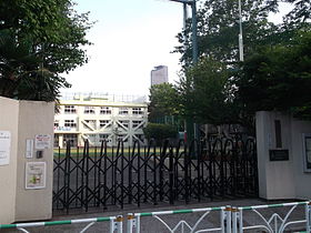 小学校　渋谷区立猿楽小学校（小学校）まで344m