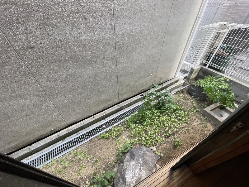 庭