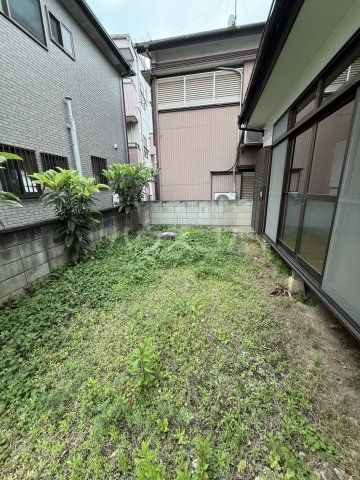 庭
