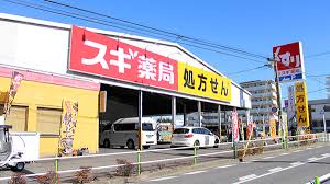 ドラックストア　スギ薬局板橋店（ドラッグストア）まで516m