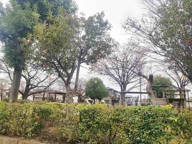 公園　さくら公園（公園）まで409m