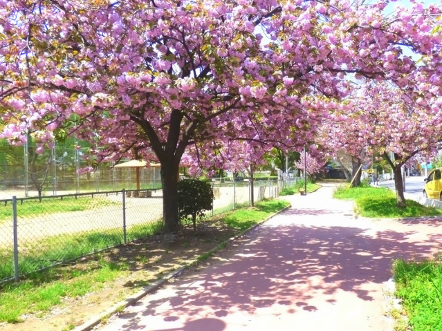 公園　平野公園（公園）まで926m