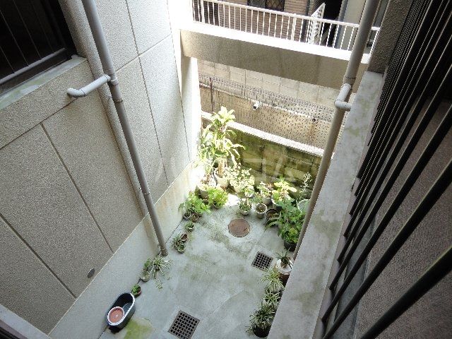 庭