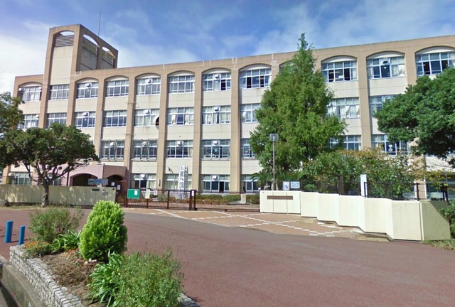 小学校　神戸市立南落合小学校（小学校）まで552m