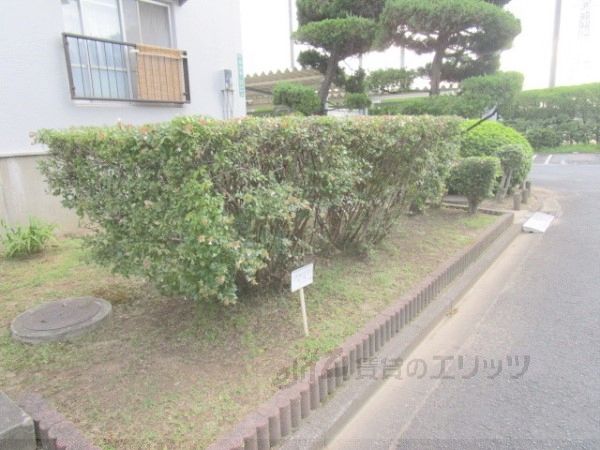 その他　植栽