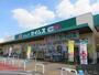 ドラックストア　ドラッグセイムスモールプラザ草加中央店（ドラッグストア）まで405m