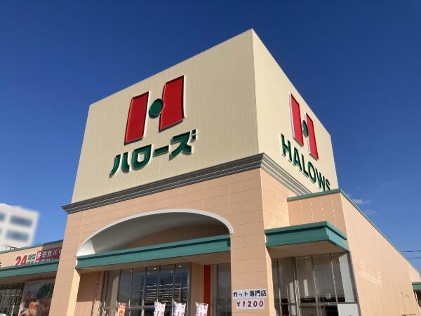 スーパー　ハローズ観音新町店（スーパー）まで353m