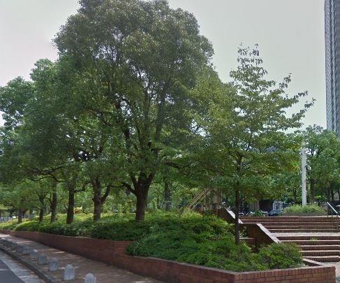 公園　アメリカ橋公園（公園）まで180m