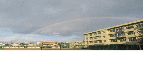 中学校　福山市立中央中学校（中学校）まで578m