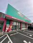 ドラックストア　ディスカウントドラッグコスモス 九品寺店（ドラッグストア）まで584m